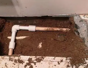 那曲测漏水哪家好