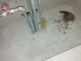 那曲卫生间测漏水价格明细