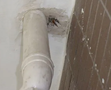 那曲漏水检测哪家好